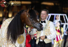 GCAT concludes Americas season with a triumphant finale in Las Vegas