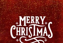 Merry Christmas from Team Tamini