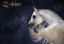 In a Klass all his own Part I