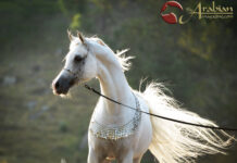 In a Klass all his own Part II