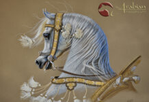 Marian Duncan – Arabian Art from Down Under