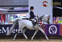 Horse of the Year Show 2025