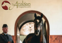 Visiting Poland and Kuheilaan Aafas Maidaan