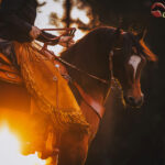 Sports psychology: Take Back the Control