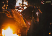 Sports psychology: Take Back the Control