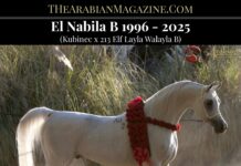 El Nabila B 1996 – 2025