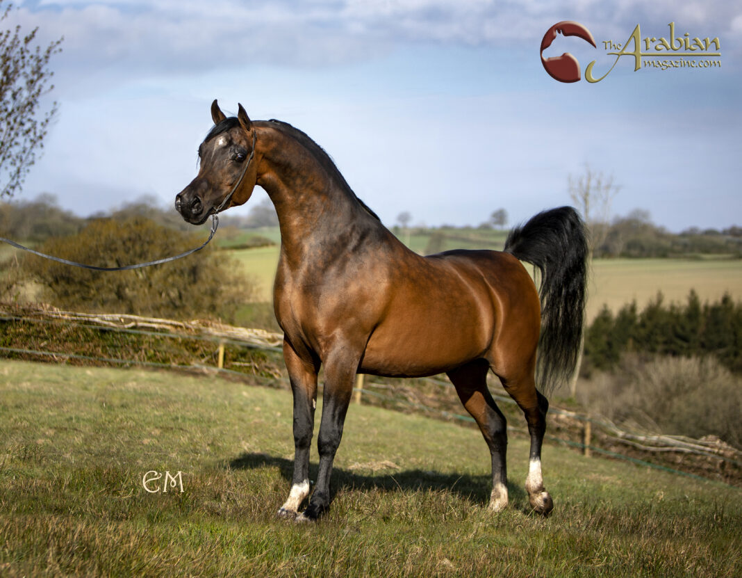 1 LEAD Psharif. Credit Emma Maxwell