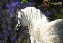 In a Klass all his own Pt III