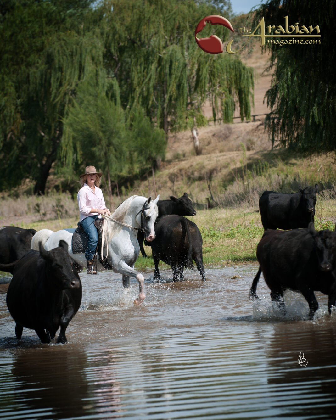 KLASS / DANIELLA / CATTLE / RIVER