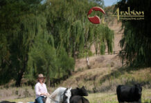 In a Klass all his own Pt IV – The International Community Shares