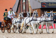 100 Years of Marbach Stud Parades Part II: An Anniversary To Remember