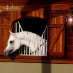 Klass – Arabian Ambassador Extraordinaire