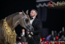 Miles Buckley, Al Fahad MAS & their Gold Supreme Dream Podcast