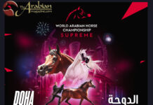WACH Supreme 2025 Final Presented in Doha