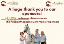 A huge thank you to our sponsors