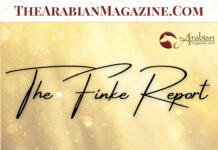 The Finke Report I Faith, Hope & Purity