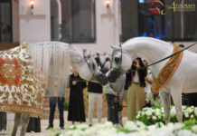 GCAT concludes first championship of 2026 season in Abu Dhabi