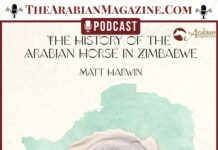 An interview with Matt Harwin I The History of the Arabian Horse in Zimbabwe