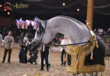 Doha steals the Spotlight in a Championship to Remember