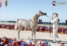 GCAT Muscat reshapes Female Overall Ranking