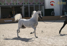 GCAT Miami Beach wraps an unforgettable weekend on the sand