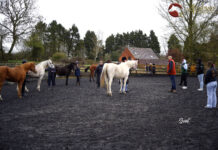 Ryan Bryn Jones Young Handler Training Day