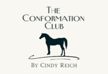 Introducing – The Conformation Club