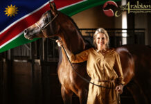 Charlottenberg Arabians Open Day 2026