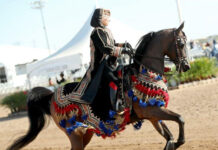 Why the Arabian is uniquely positioned for the future of Equestrian Sport