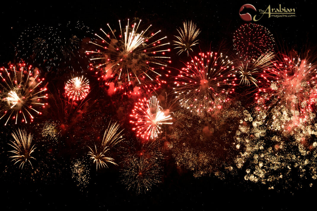LEAD designecologist-5mj5jLhYWpY-unsplash