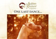 One last dance…
