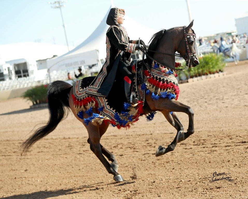 The Scottsdale Arabian Horse Show The Show Must Go On! The Arabian