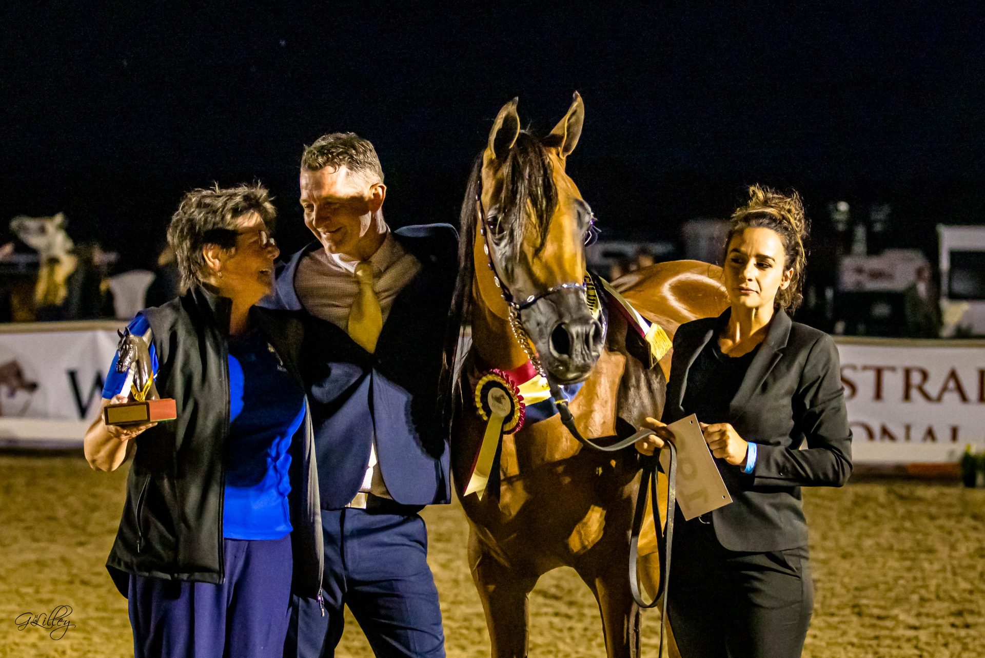 The 2021 Australian Arabian National Championships Part I - The Arabian ...