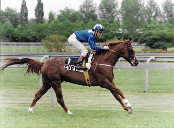 Bengali d’Albert winning the Coupe d’Europe du Cheval Arabe at Evry in 1993, trained by Mrs G Duffield and ridden by Thiery Jarnet