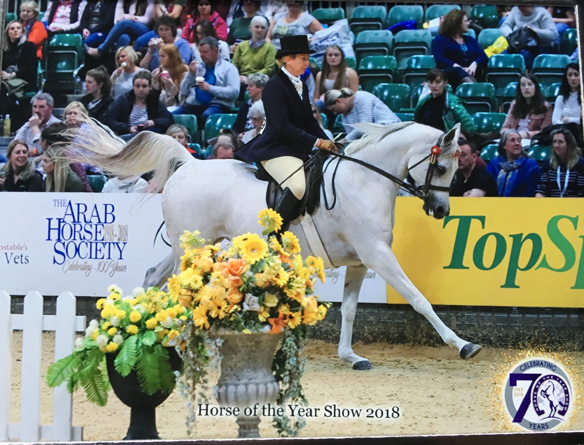 The 2018 Horse of the Year Show The Arabian Magazine