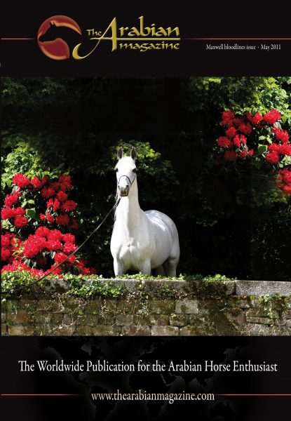 Grenlandia Eukaliptus Maxwell Lodge Farm The Arabian Magazine On the Cover