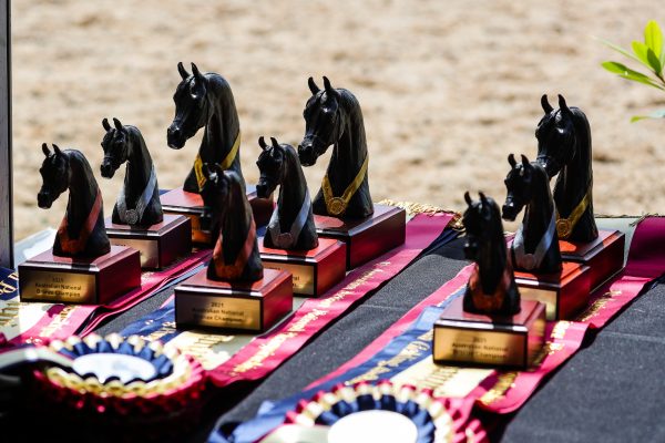 Australian Arabian National Championships trophies