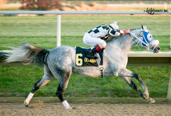 Ontario HF winning the Arabian Cup Spring Championship Group 1 race at Delaware Park, USA