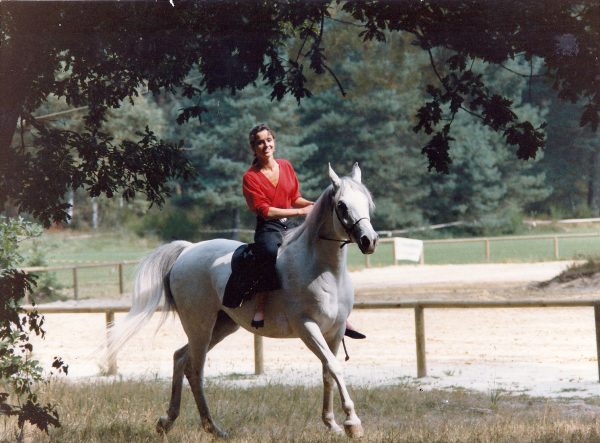 The European Champion Kazra el Saghira (Shakhs x Kazra), photographed here in 1989, ridden by Emma Mazwell