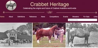A new website for everyone interested in the Crabbet Arabian!