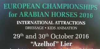 The European Championships 2016 – LIVE!