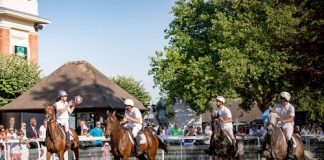 AU-DELÀ DES PISTES to organise the first retrained racehorses day