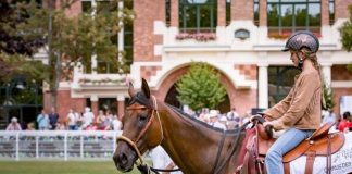 Au-Delà Des Pistes unveils 2017 dates for retrained racehorse days