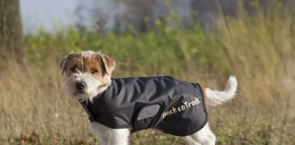 Back on Track® introduce new selection of high tech dog rugs