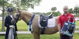 Blondes Have More Fun