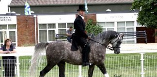 British National Championships – Ridden Classes