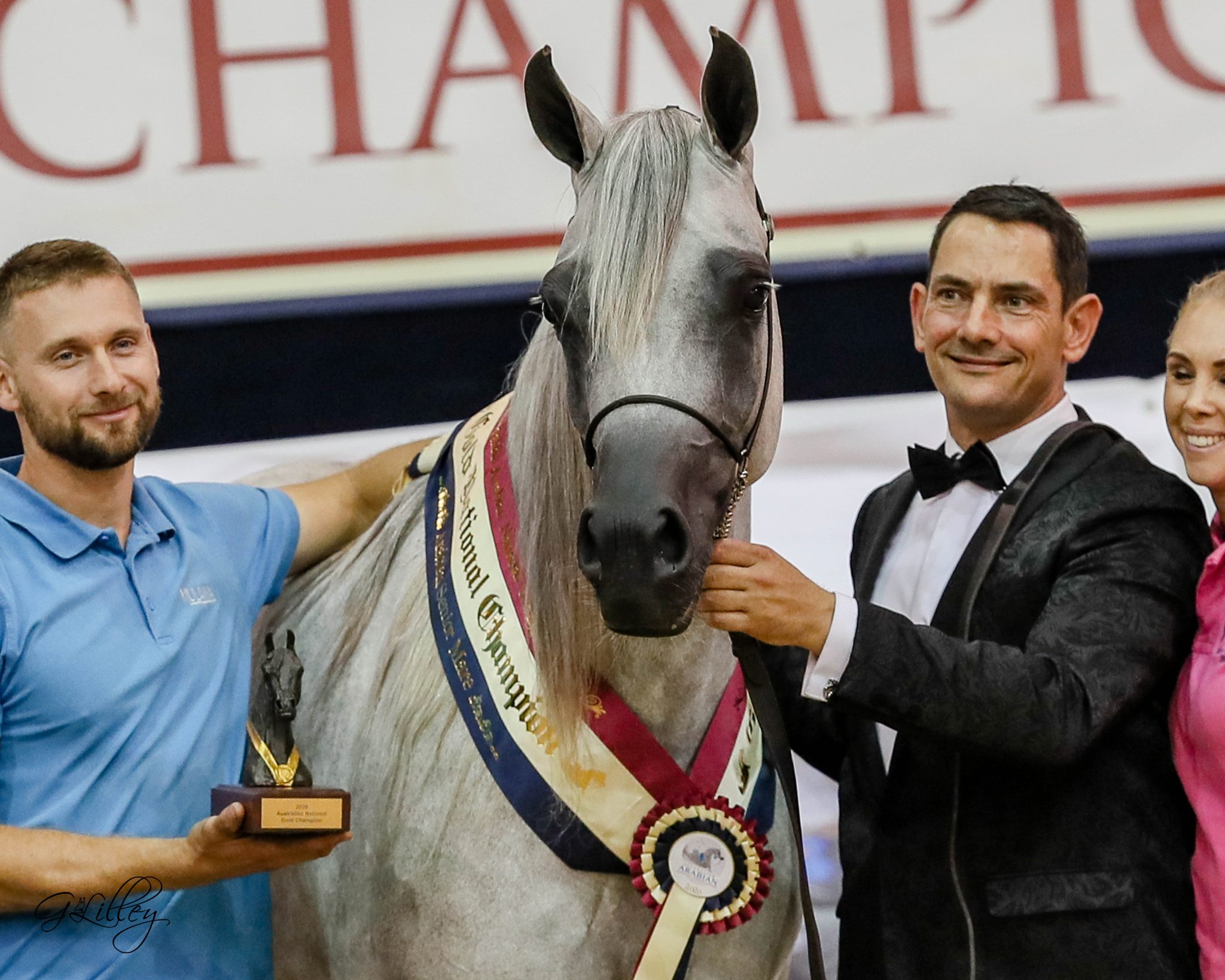 Australian Arabian National Championships 2020 - The Arabian Magazine