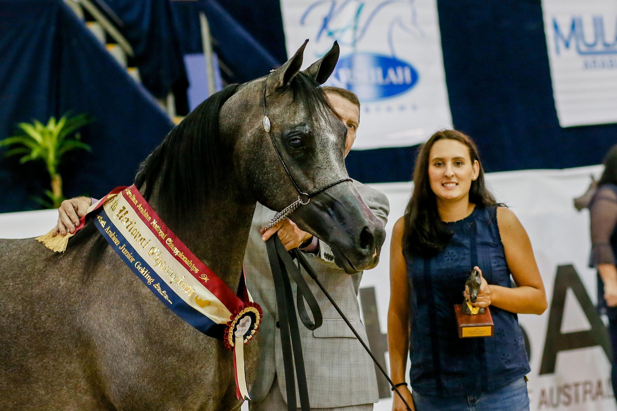 Australian Arabian National Championships 2020 - The Arabian Magazine