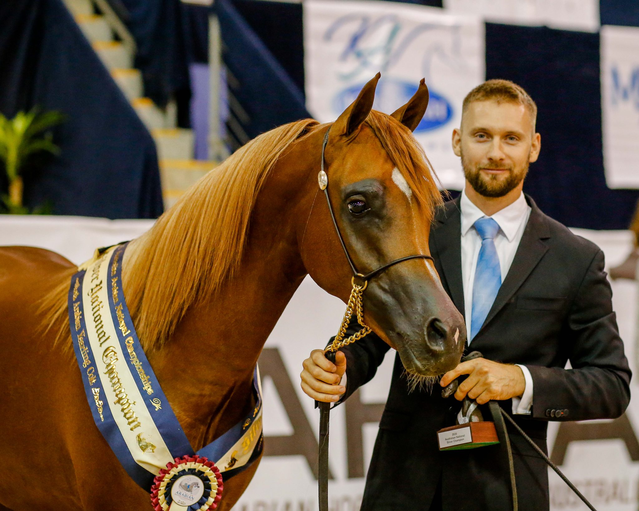 Australian Arabian National Championships 2020 - The Arabian Magazine