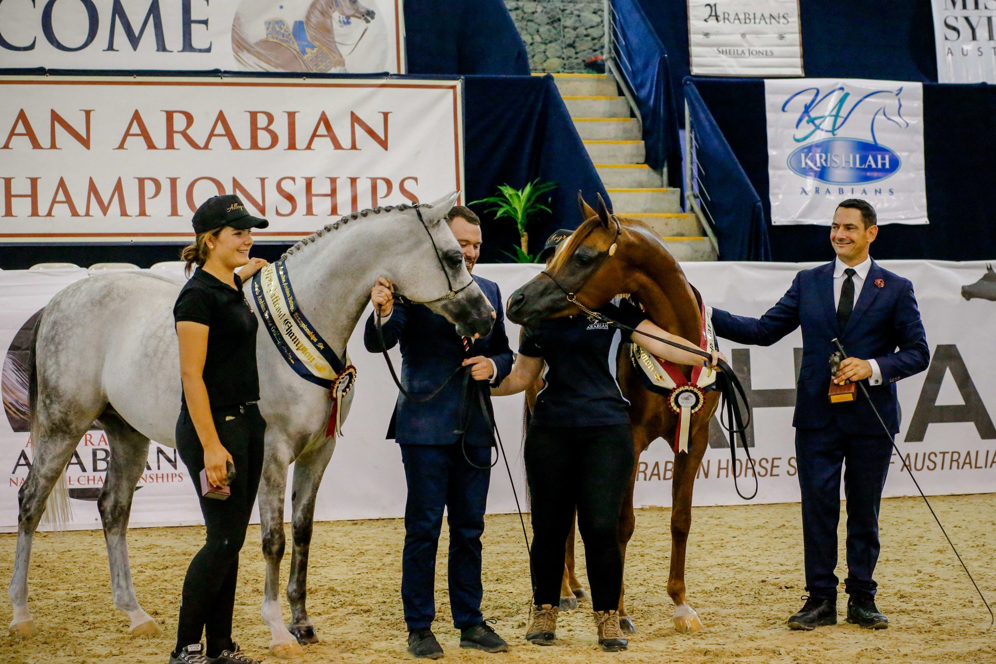 Australian Arabian National Championships 2020 - The Arabian Magazine